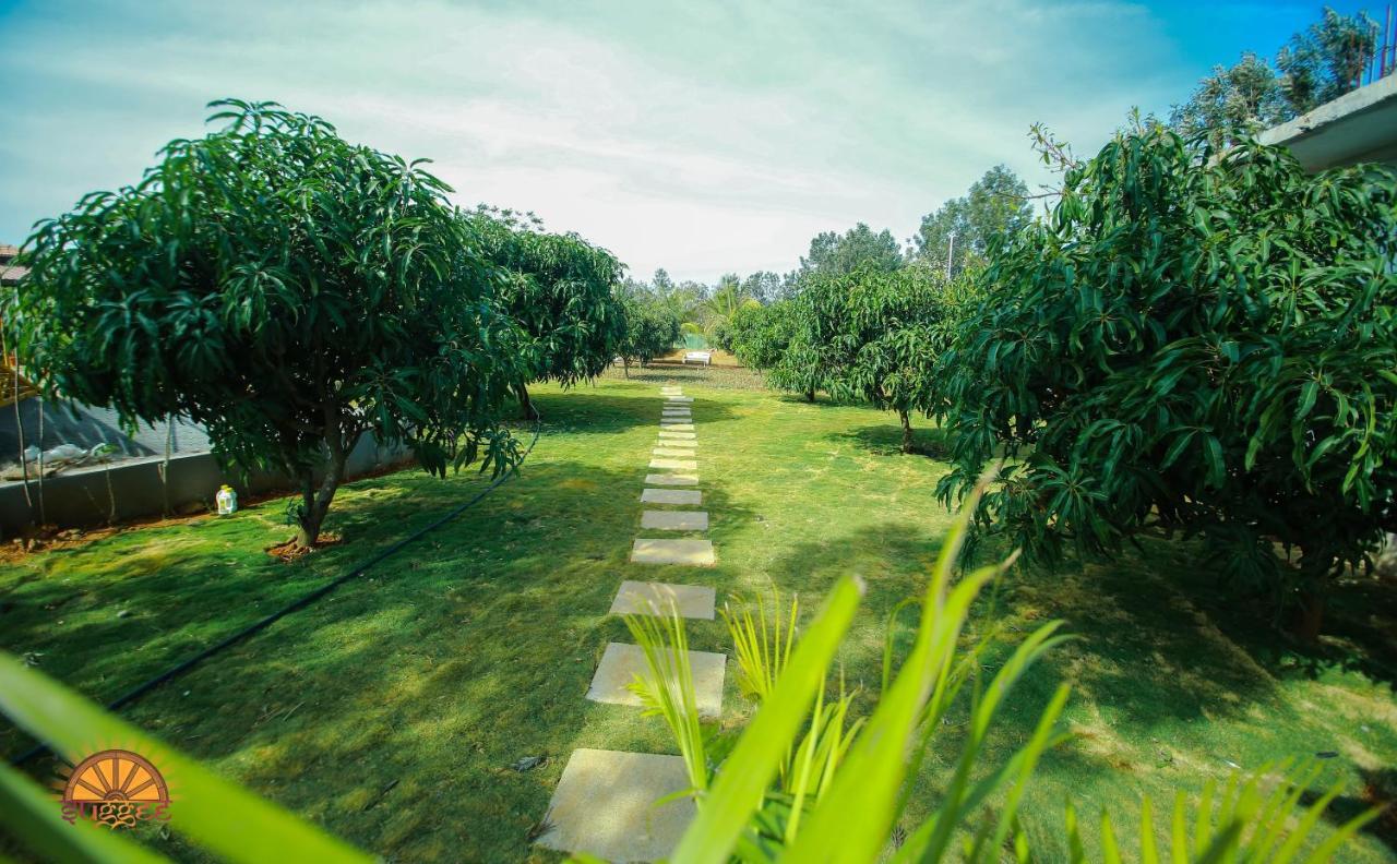 Suggee Resort Jigani Ngoại thất bức ảnh